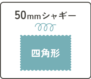 50mm四角形アイコン