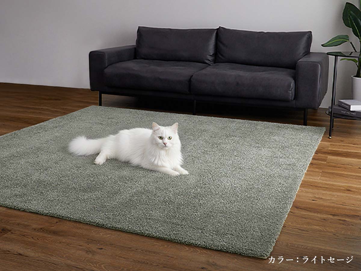 ペットとの暮らしのイメージ