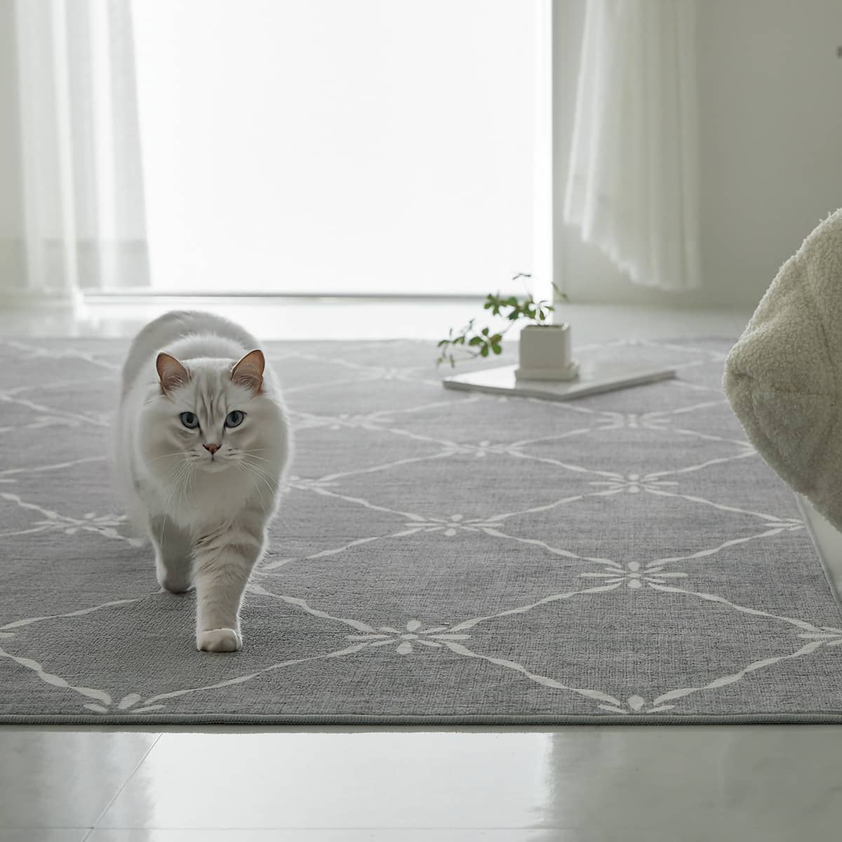 猫が歩いている様子