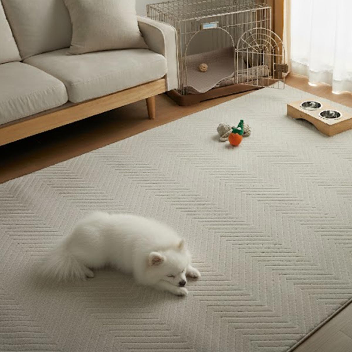 犬が遊んでいる様子