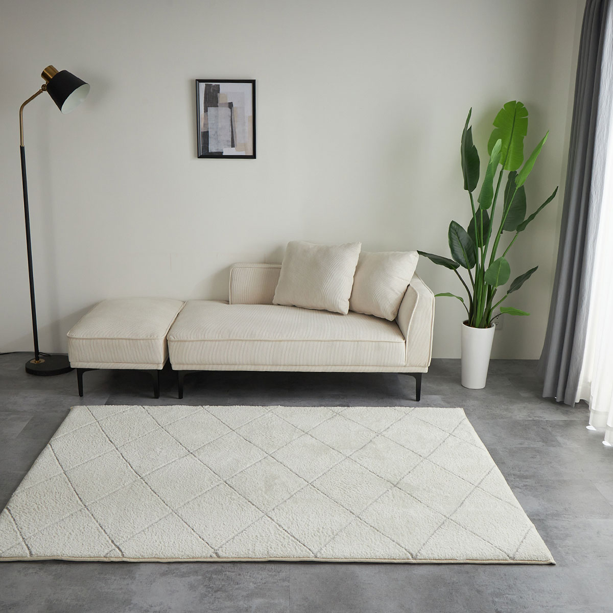 ホワイトラインのイメージ