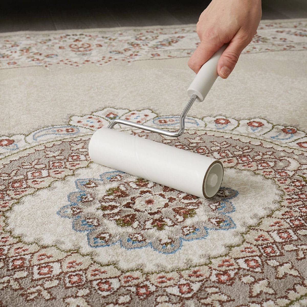 掃除機をかけている様子