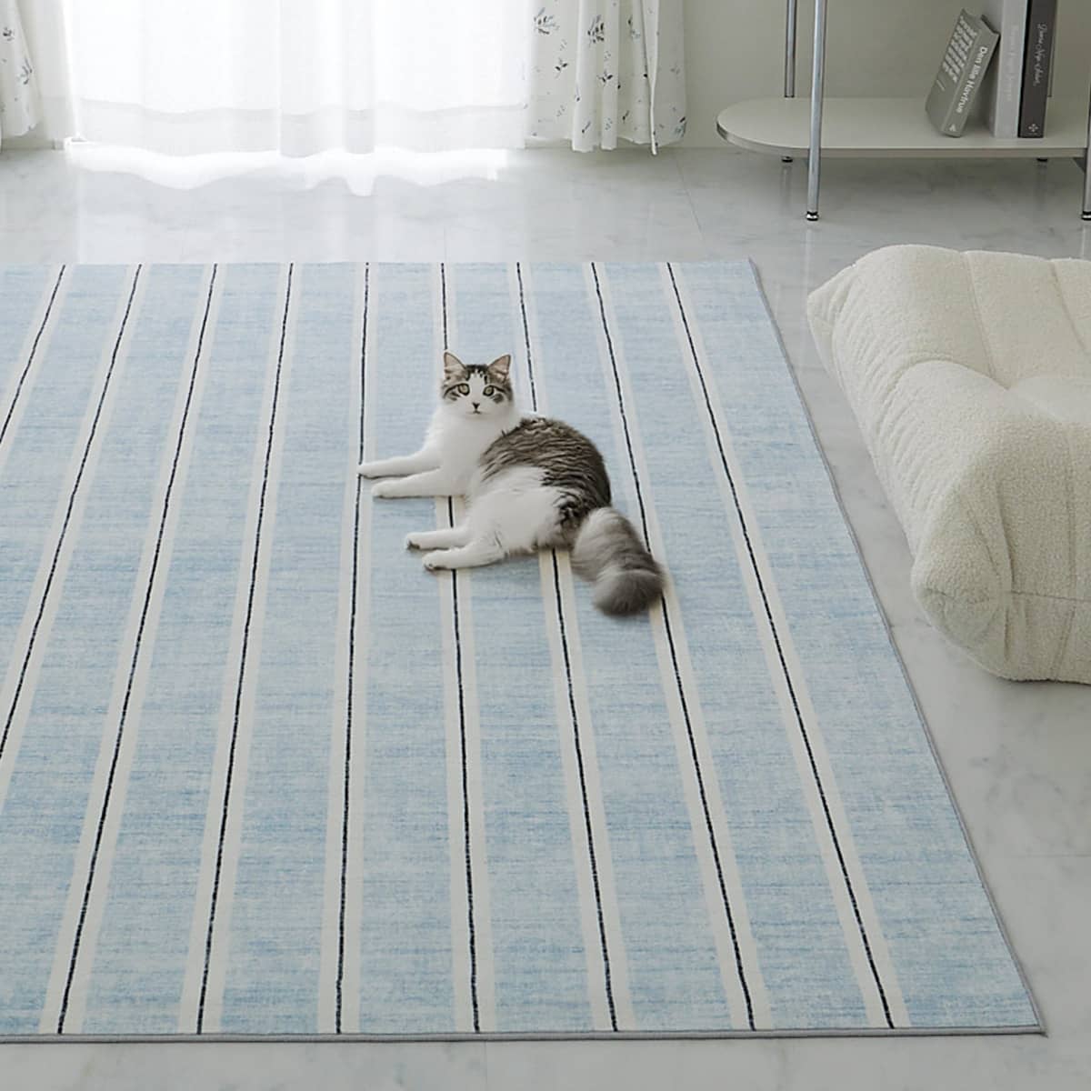 猫が歩いている様子
