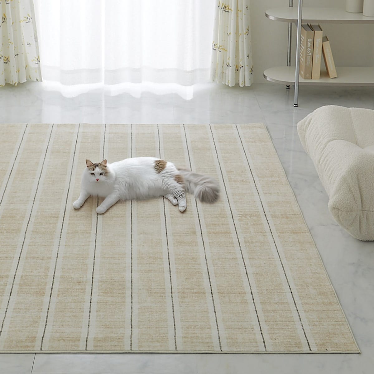 猫が歩いている様子