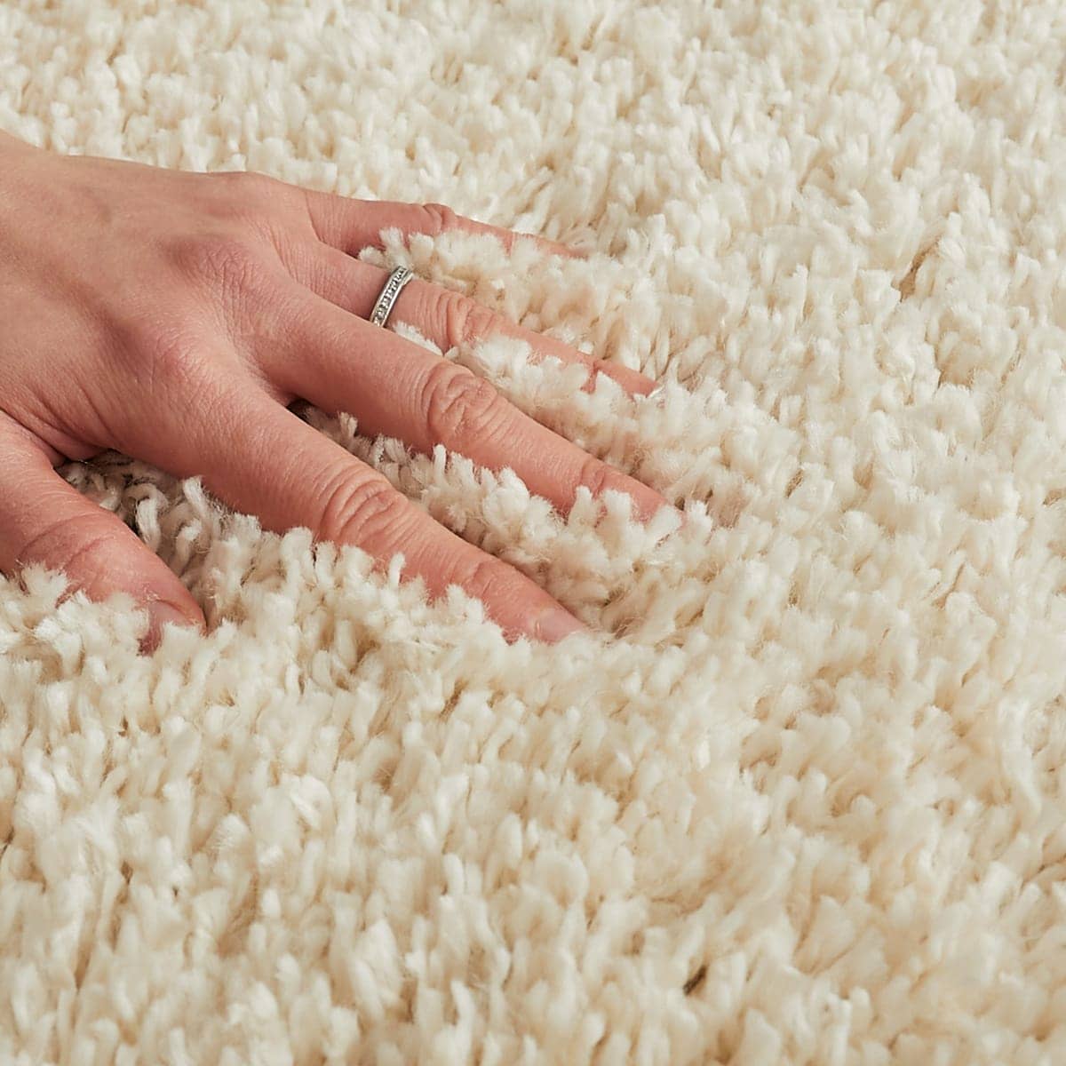 ふわふわの毛並み