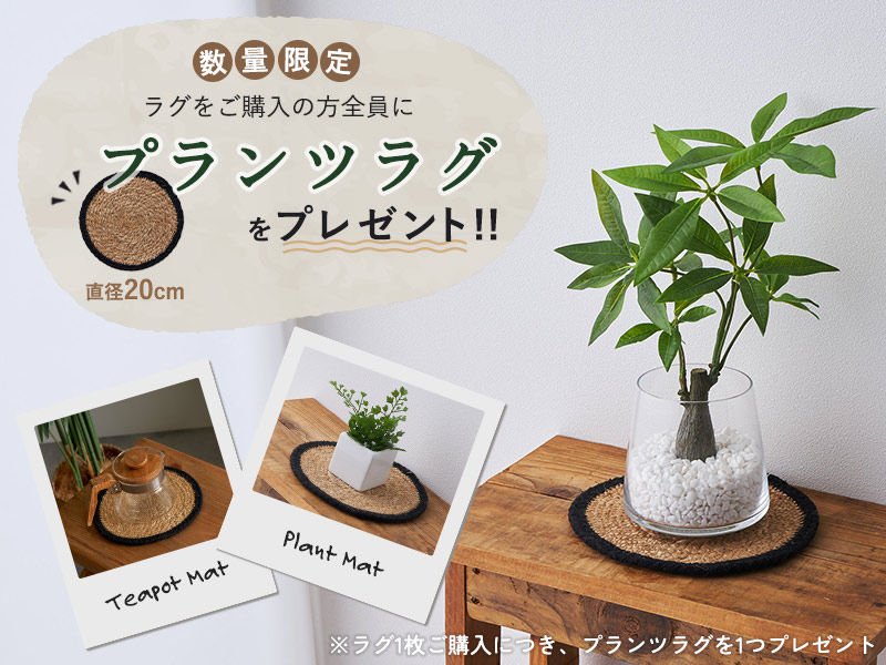 プランツラグ プレゼント