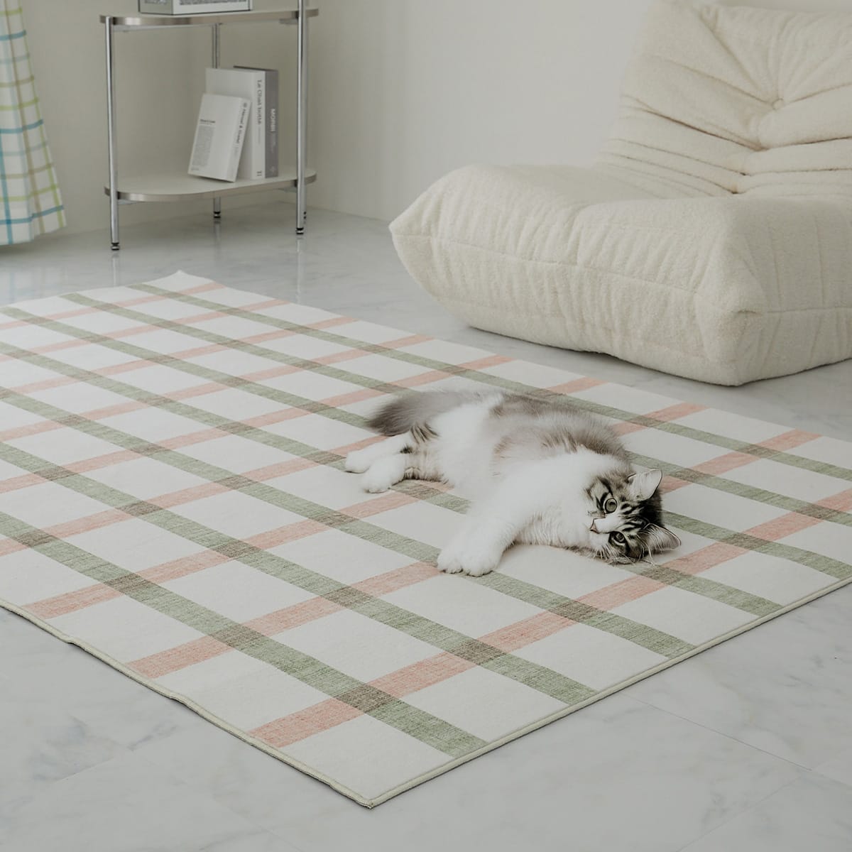 猫が歩いている様子