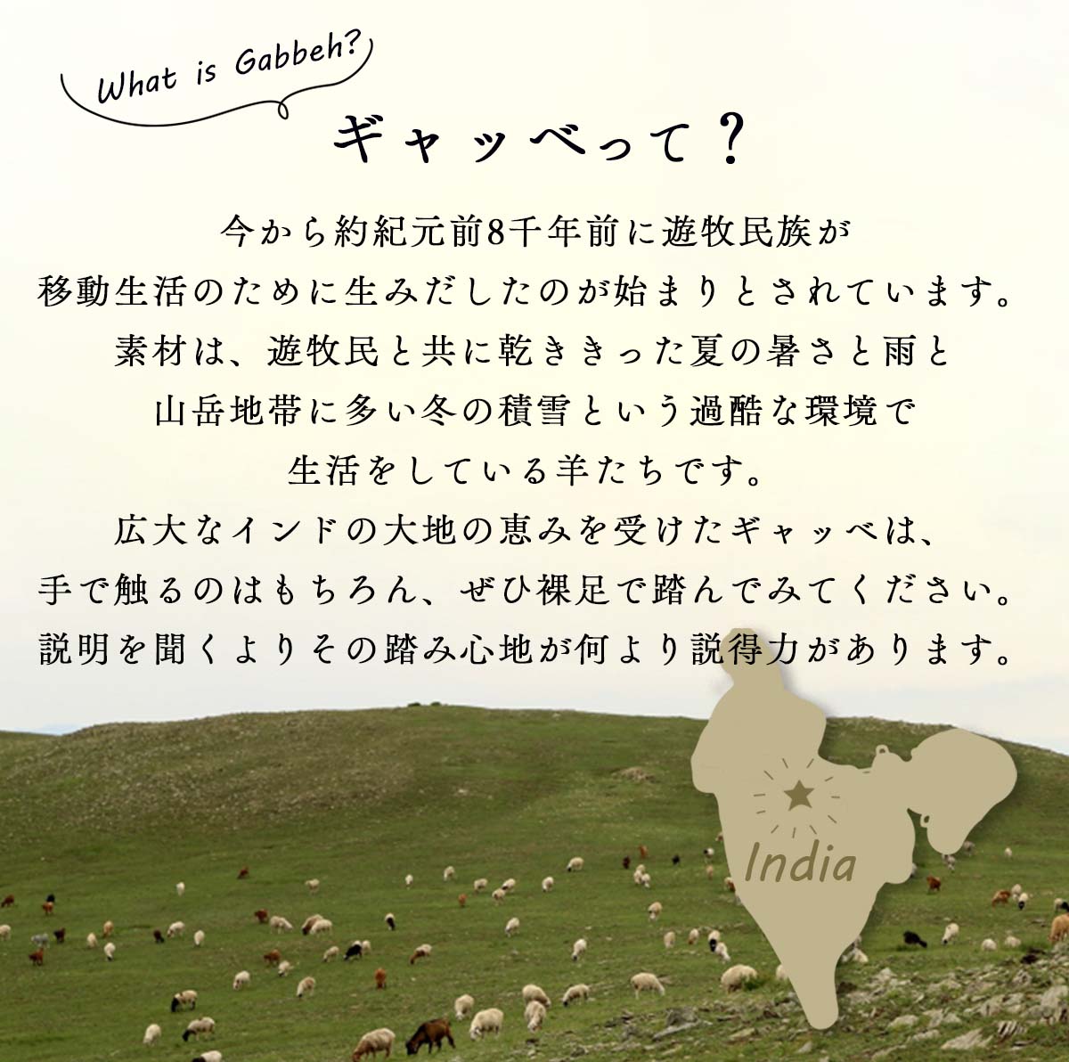 ギャベ共通 02