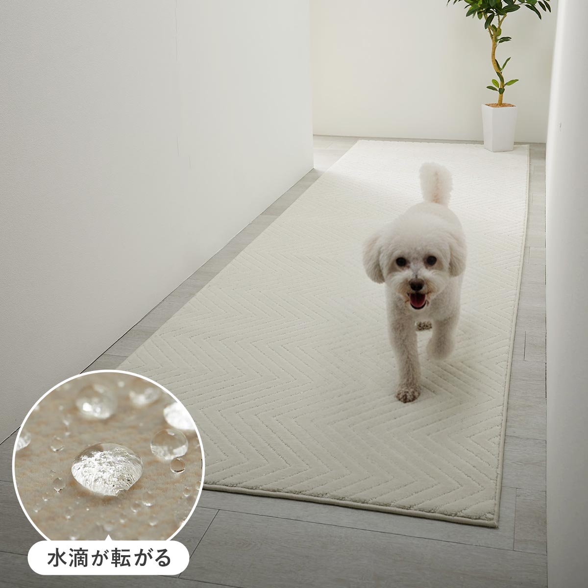 はっ水カーペット トップ画像