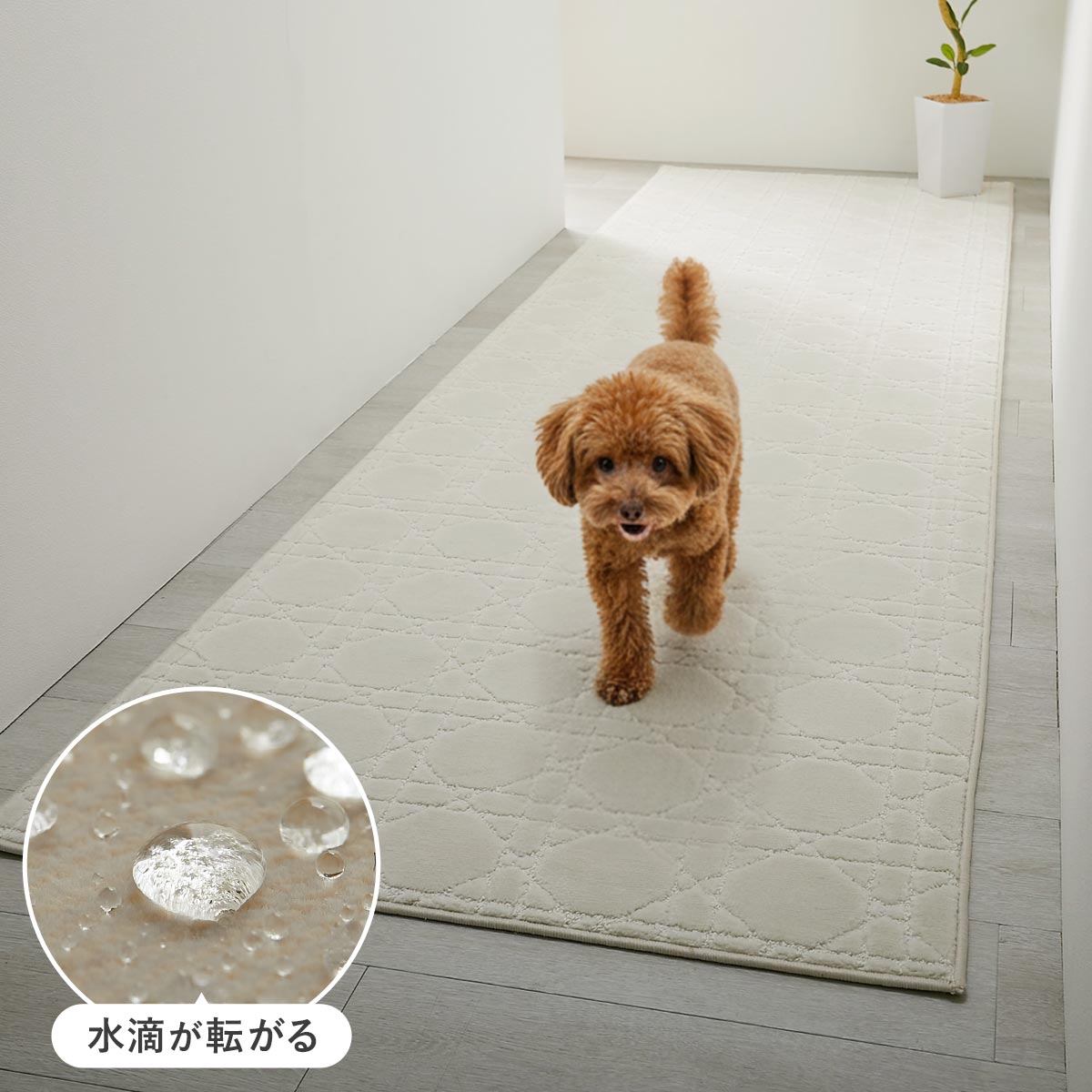 はっ水カーペット トップ画像