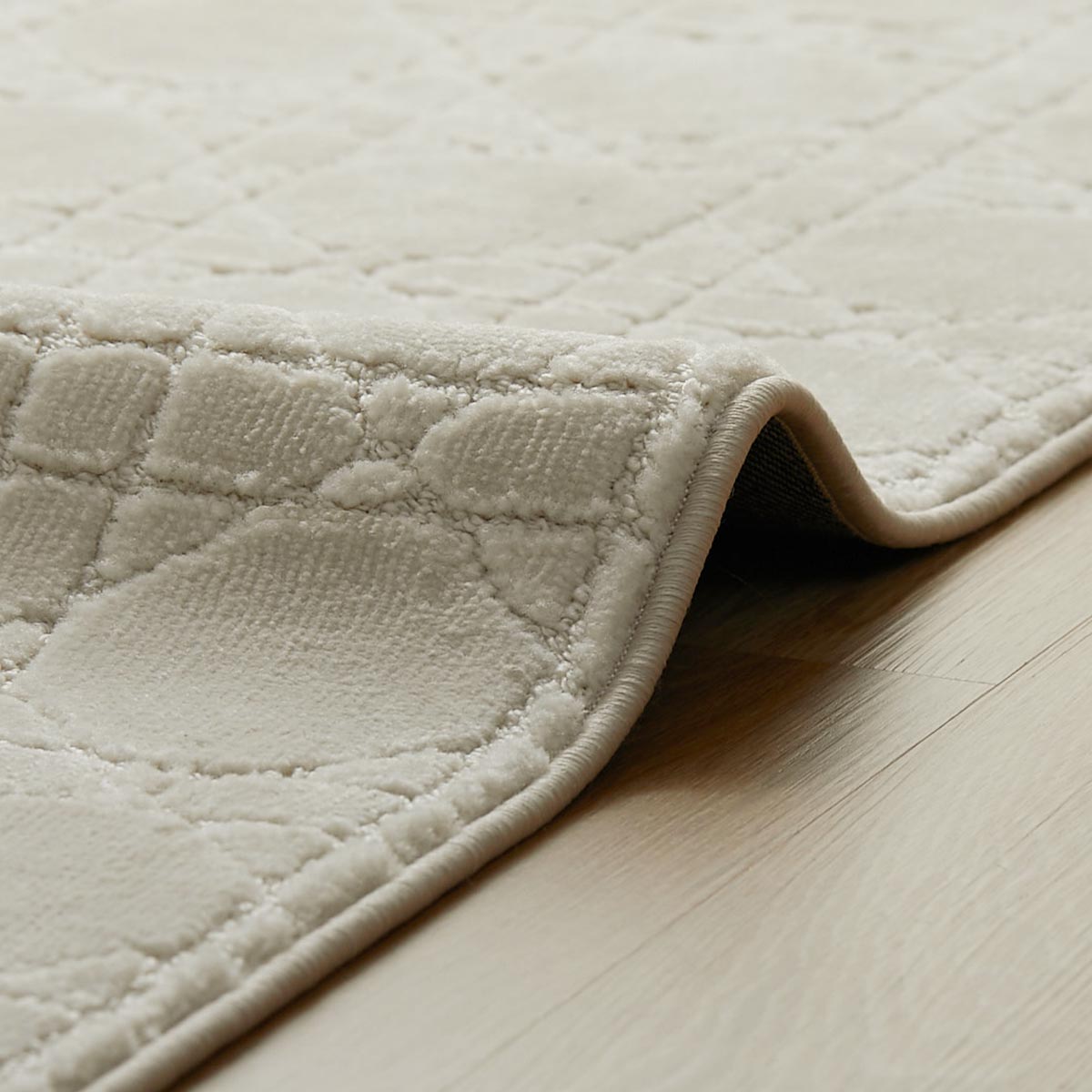 犬が遊んでいる様子