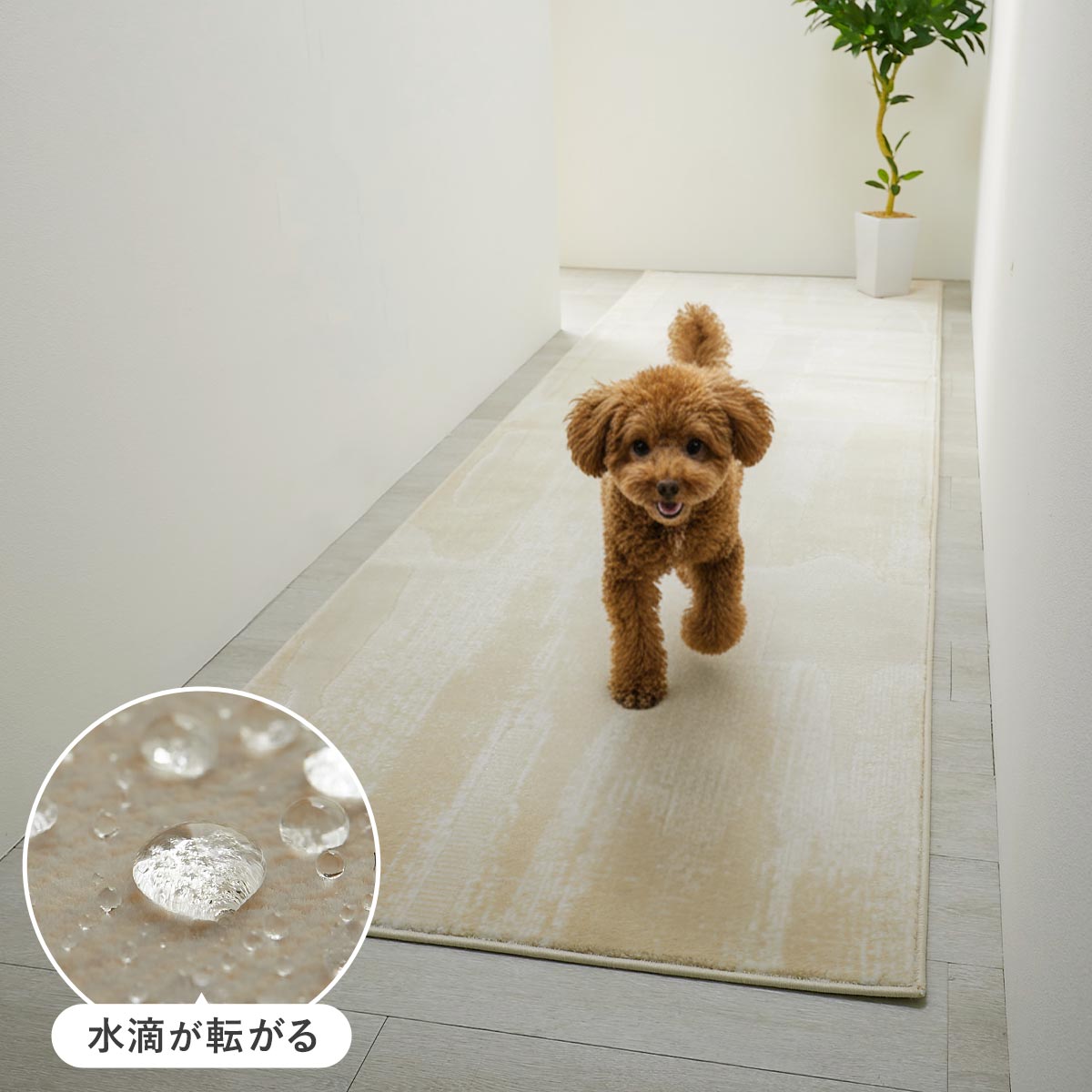 はっ水カーペット トップ画像