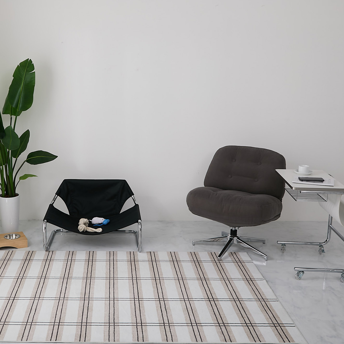 ペットベッドと一人掛けソファを横並びに置いたところ