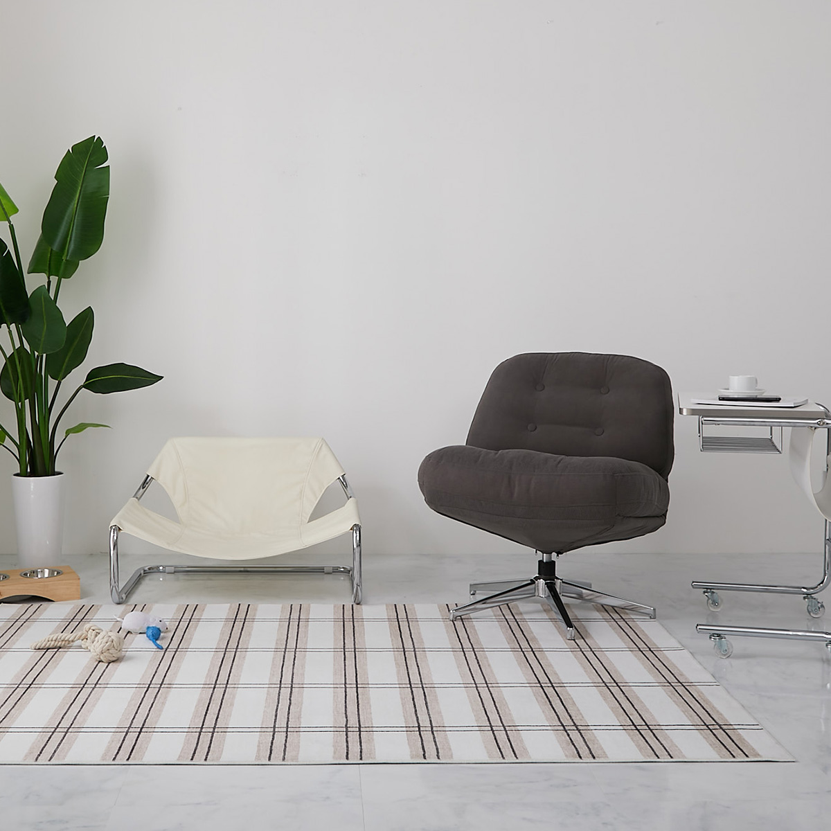 ペットベッドと一人掛けソファを横並びに置いたところ