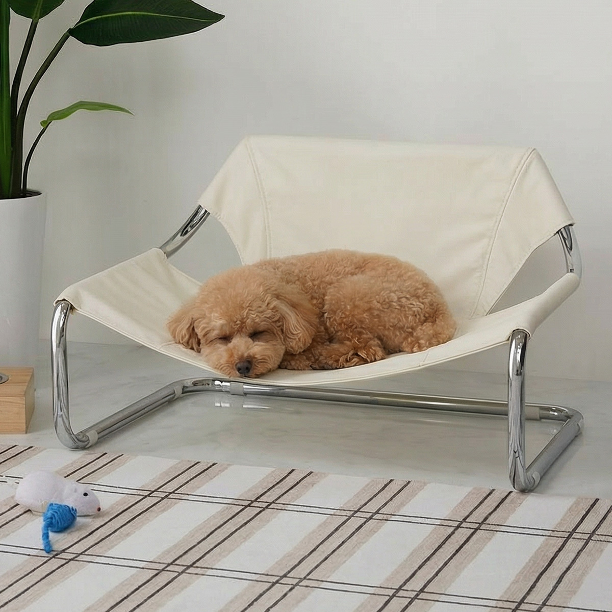 犬がペットベッドの上で寝ている様子