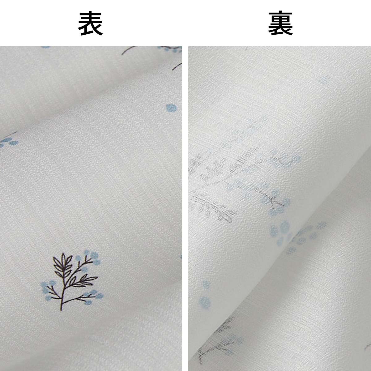 表と裏のアップ画像