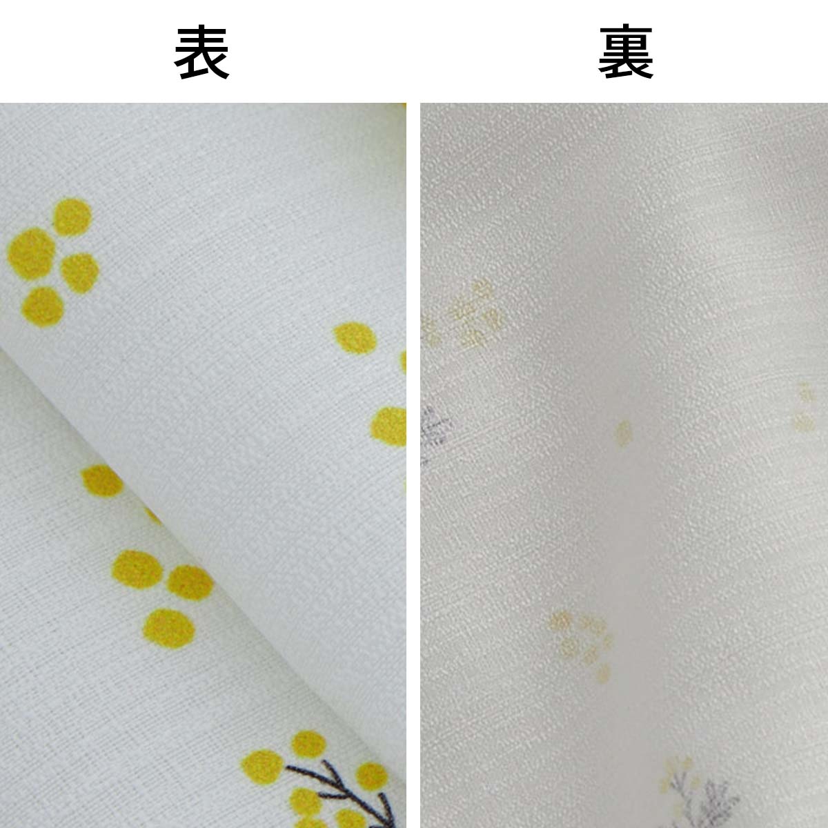 表と裏のアップ画像