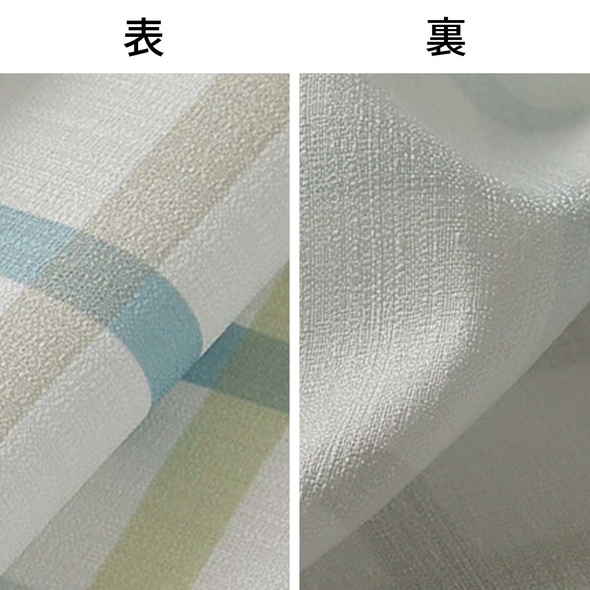 表と裏のアップ画像