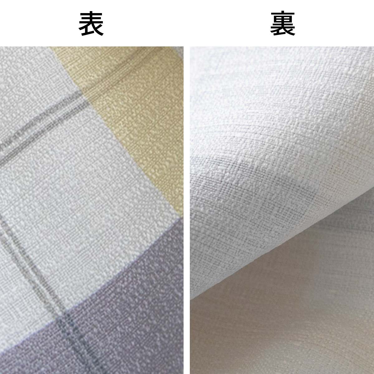 表と裏のアップ画像